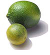 [Limes]